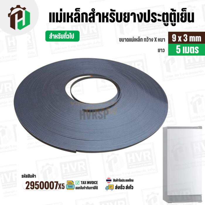 2950007X5tik-1